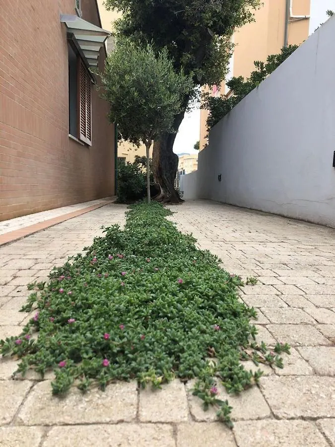 Gazania Appartamento San Vincenzo